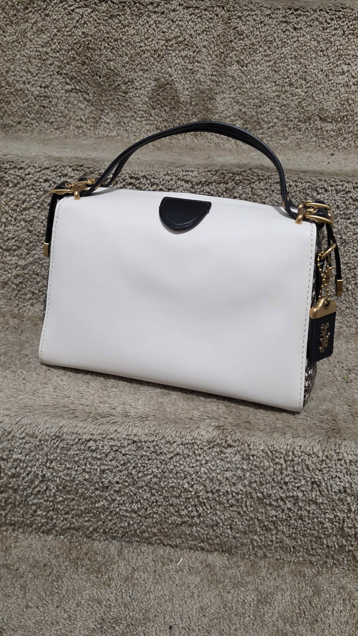 Coach 1941 Glovetanned Leather & Genuine Snakeskin Kisslock Frame Satchel White
