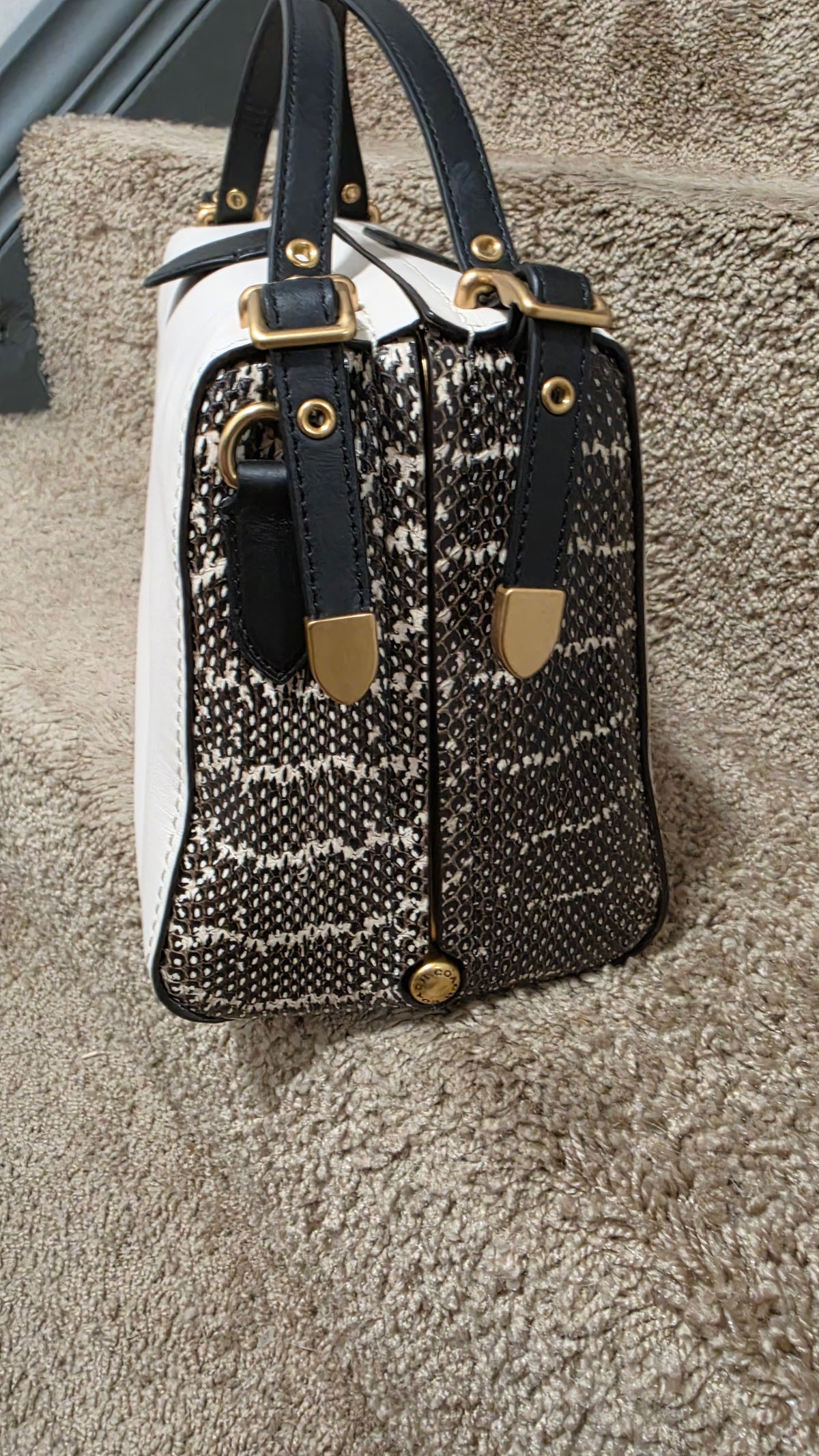 Coach 1941 Glovetanned Leather & Genuine Snakeskin Kisslock Frame Satchel White